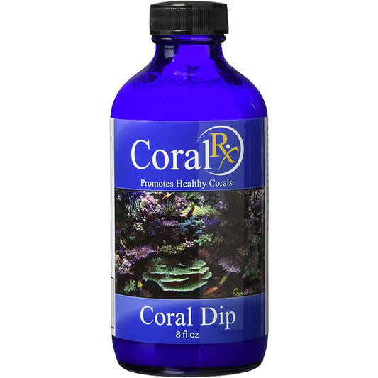 coral Rx coral dip